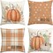 Set of 4 - Hello Fall Hello Pumpkin Throw Pillow Covers, 20 x 20 Inch